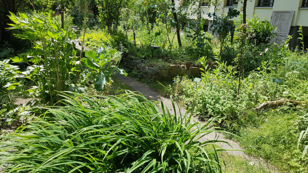 Ein Weg führt durch ein Pflanzenmeer im Waldgarten vom Cafe Botanico